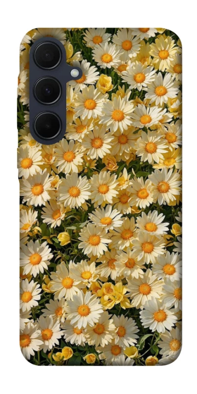 Чехол на Samsung Galaxy A35 Camomile фото 1 из 1