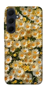 Чехол на Samsung Galaxy A55 Camomile фото 1 из 1