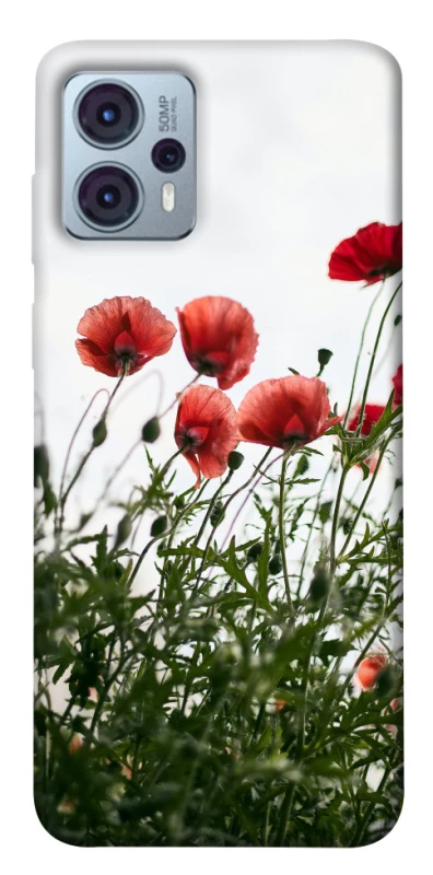 Чехол на Motorola Moto G23 Поле маков фото 1 из 1