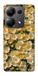 Чехол на Xiaomi Redmi Note 13 Pro 5G Camomile фото 1 из 1