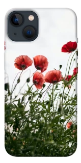 Чохол на Apple iPhone 13 (6.1") Поле маків фото 1 з 1