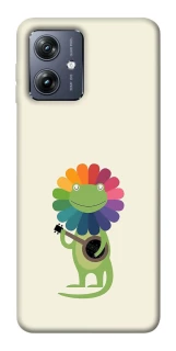 Чохол на Motorola Moto G54 Rainbow lacosta фото 1 Чохол на Motorola Moto G54 Rainbow lacosta фото 1 з 1