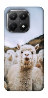 Чохол на Xiaomi 15T Лама фото 1 з 1