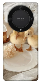 Чохол на Huawei Magic5 Lite Easter Vibes фото 1 з 1