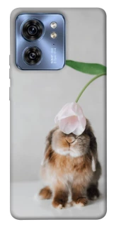 Чохол на Motorola Edge 40 Bunny фото 1 з 1