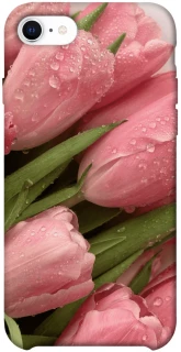 Чохол на Apple iPhone SE (2020) Beauty фото 1 з 1