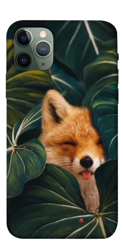 Чохол на Apple iPhone 11 Pro (5.8") Fox фото 1 з 1