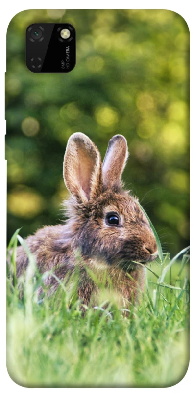 Чехол на Huawei Y5p Кролики фото 1 из 1