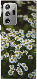 Чехол на Samsung Galaxy Note 20 Ultra Ромашки v13 фото 1 из 1