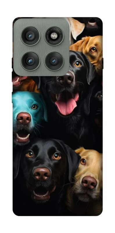 Чехол на Motorola Edge 60 Pro Собаки фото 1 из 1