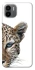 Чохол на Xiaomi Redmi A1+ / Poco C50 / A2+ Leopard Art v2 фото 1 з 1