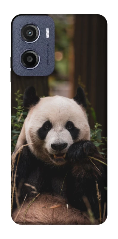 Чохол на Motorola Moto E15 Панда фото 1 з 1