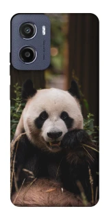 Чехол на Motorola Moto E15 Панда фото 1 из 1