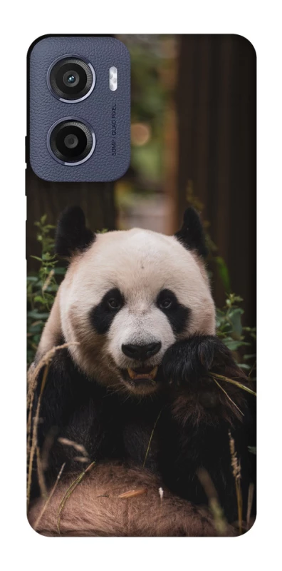 Чехол на Motorola Moto G05 Панда фото 1 из 1