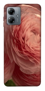 Чохол на Motorola Moto G14 Elegance фото 1 з 1