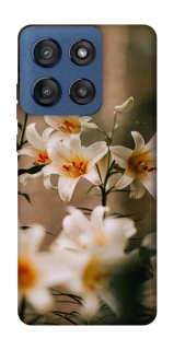 Чохол на Motorola Edge 60 Stylus Лілії фото 1 з 1