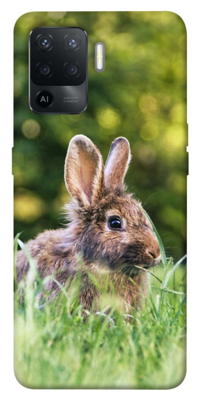 Чехол на Oppo Reno 5 Lite Кролики фото 1 из 1