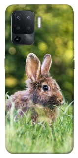 Чехол на Oppo Reno 5 Lite Кролики фото 1 из 1