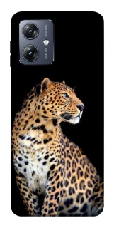 Чохол на Motorola Moto G54 Leopard v2 фото 1 Чохол на Motorola Moto G54 Leopard v2 фото 1 з 1