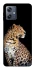 Чохол на Motorola Moto G54 Leopard v2 фото 1 Чохол на Motorola Moto G54 Leopard v2 фото 1 з 1
