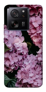 Чехол на Xiaomi 13T Розовые гартензии фото 1 из 1
