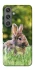 Чехол на Samsung Galaxy S24 Кролики фото 1 из 1