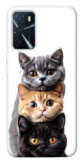 Чохол на Oppo A16s / A16 Гарні котики фото 1 з 1
