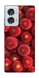 Чехол на Motorola Edge 50 Fusion Midnight1 фото 1 из 1