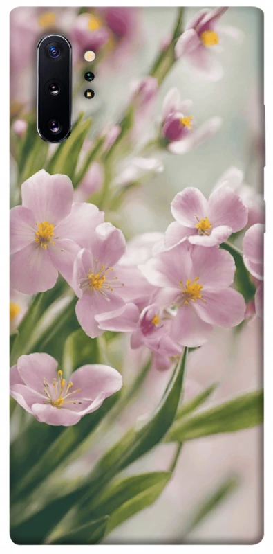 Чехол на Samsung Galaxy Note 10 Plus Spring фото 1 из 1