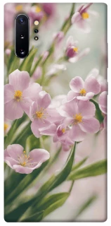 Чехол на Samsung Galaxy Note 10 Plus Spring фото 1 из 1