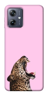 Чохол на Motorola Moto G54 Leopard Meow фото 1 Чохол на Motorola Moto G54 Leopard Meow фото 1 з 1