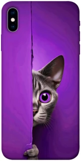 Чохол на Apple iPhone X (5.8") Кіт-підглядач фото 1 з 1