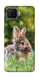 Чохол на Oppo A73 (2017) Кролики фото 1 з 1