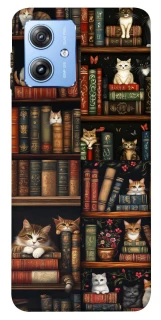 Чехол на Motorola Moto G84 Cats & Books фото 1 из 1