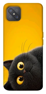 Чохол на Oppo A92s This is Cat фото 1 з 1
