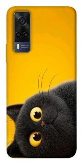 Чохол на Vivo Y53s This is Cat фото 1 з 1