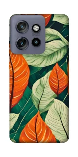 Чохол на Motorola Edge 50 Neo Leaves фото 1 з 1