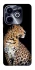 Чохол на Infinix Hot 40i Leopard v2 фото 1 з 1