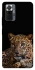 Чохол на Xiaomi Redmi Note 10 Pro Leopard v4 фото 1 з 1