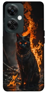 Чохол на OnePlus Nord CE 3 Lite Вогняний кіт фото 1 з 1