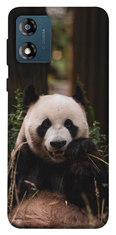 Чехол на Motorola Moto E13 Панда фото 1 из 1
