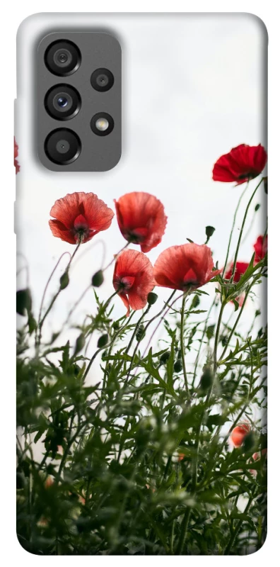Чохол на Samsung Galaxy A73 5G Поле маків фото 1 з 1