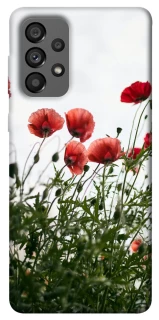 Чохол на Samsung Galaxy A73 5G Поле маків фото 1 з 1