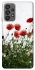 Чохол на Samsung Galaxy A73 5G Поле маків фото 1 з 1