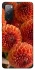 Чехол на Samsung Galaxy S20 FE Flower1 фото 1 из 1