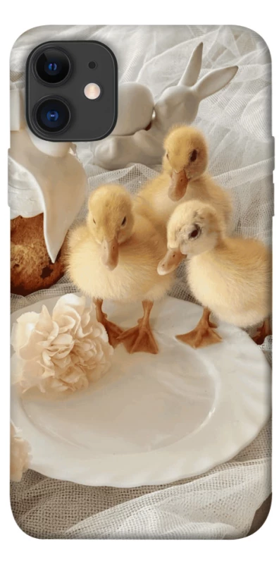 Чохол на Apple iPhone 11 (6.1") Easter Vibes фото 1 з 1