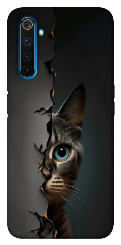Чехол на Realme 6 Pro Кот-подглядыватель v2 фото 1 из 1
