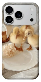 Чохол на Apple iPhone 17 Pro Max (6.9") Easter Vibes фото 1 з 1