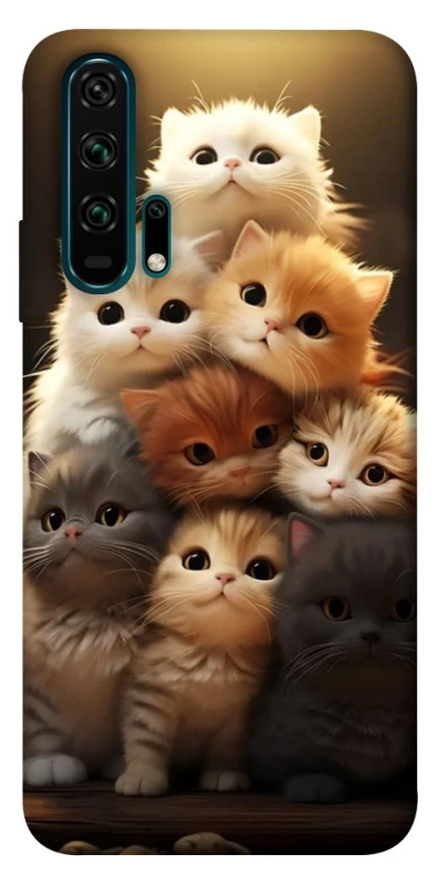 Чехол на Huawei Honor 20 Pro Чехол Kittie Love v2 фото 1 из 1