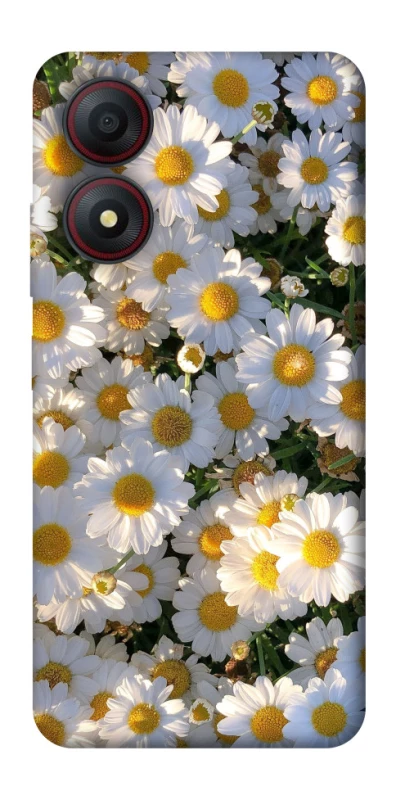 Чохол на ZTE Blade A34 4G Поле ромашок фото 1 з 1